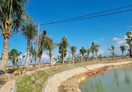 Dự án AMDI Green City: Triển khai mục tiêu kép - Vừa đảm bảo tiến độ dự án, vừa đảm bảo an toàn phòng chống dịch Covid 19