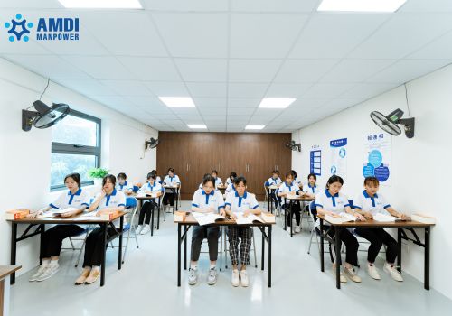 Đào tạo ngoại ngữ, tư vấn định hướng cho Người lao động