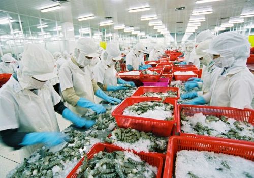 ĐƠN HÀNG CHẾ BIẾN THUỶ SẢN, ĐỒ XÔNG KHÓI