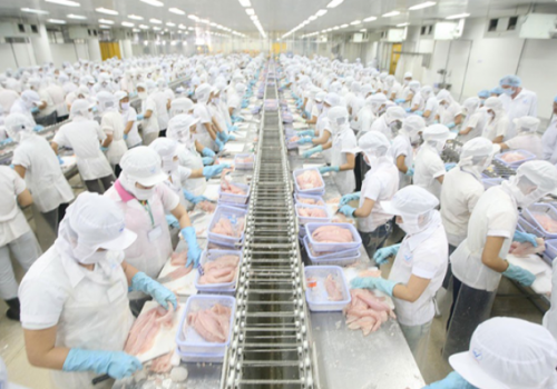 TẠI SAO BẠN KHÔNG NÊN BỎ QUA ĐƠN HÀNG THỰC PHẨM?