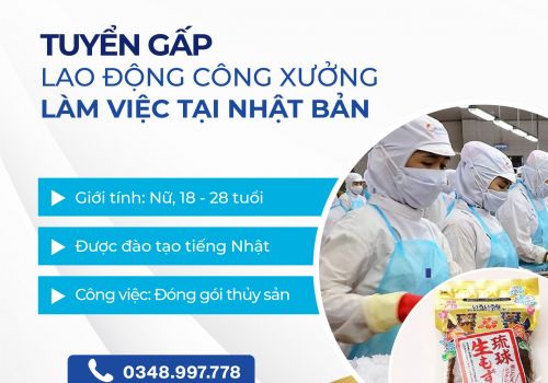ĐƠN HÀNG CHẾ BIẾN THUỶ SẢN