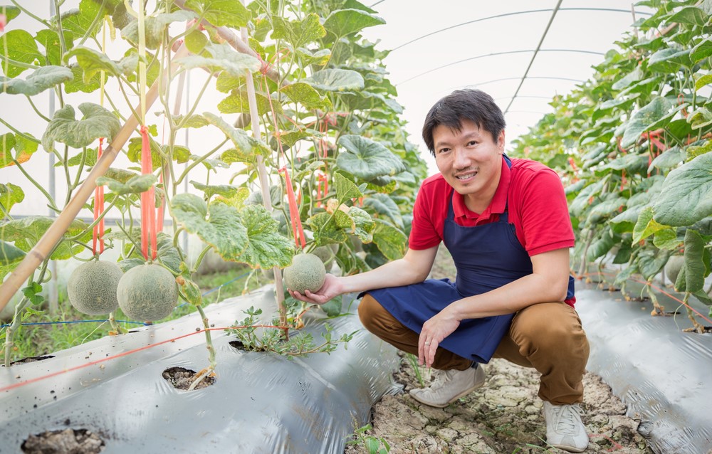 Melon-Farmer_s1250901118