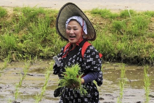 z3535458721822_644a3441559a6a4098e107290c8eb92b